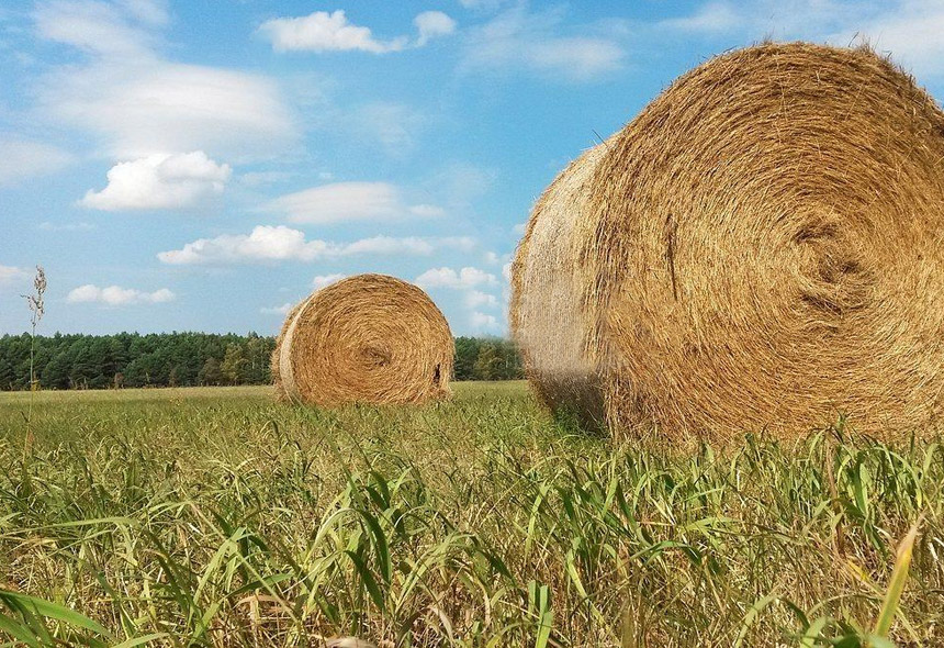 取材利便，，，，便于贮存